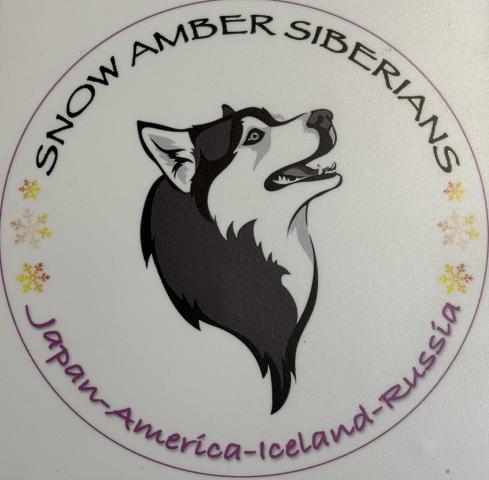 SNOW AMBERの外観