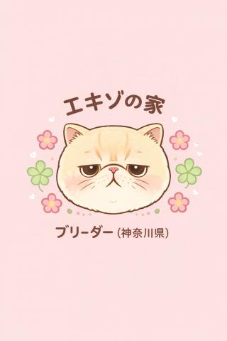 エキゾの家の外観