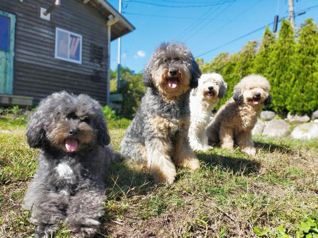 Kuri Kuri Kia Oraの外観