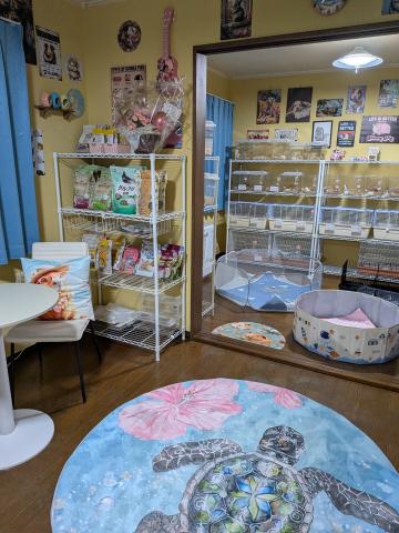 Animal Paradise Lea Leaの外観