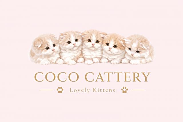 COCO CATTERYの外観