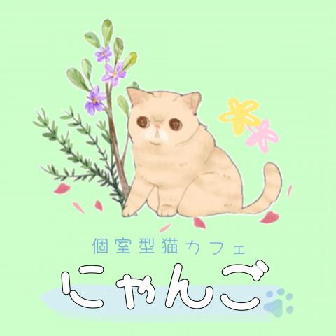 個室型猫カフェにゃんご 平塚店の外観