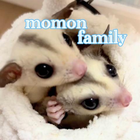 momonfamilyの外観