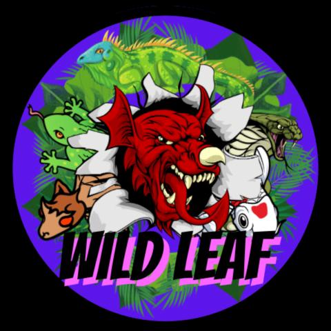 Wild Leafの外観