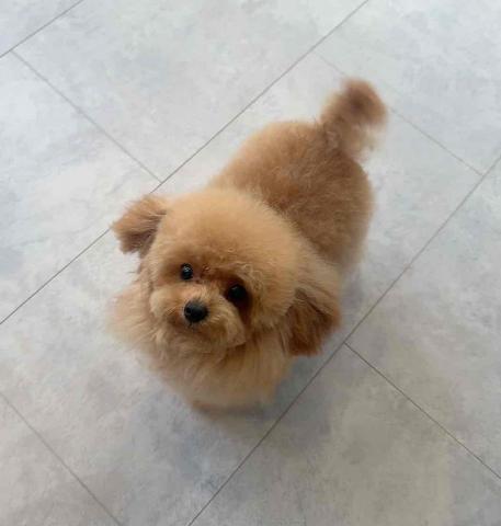 Puppy’ｓ Life Gardenの外観
