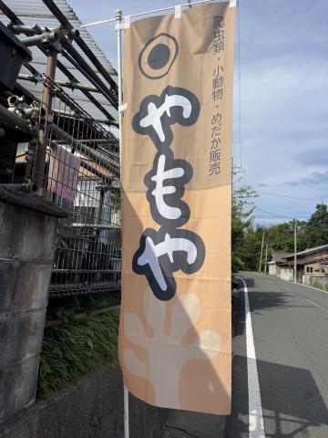 やもやの外観