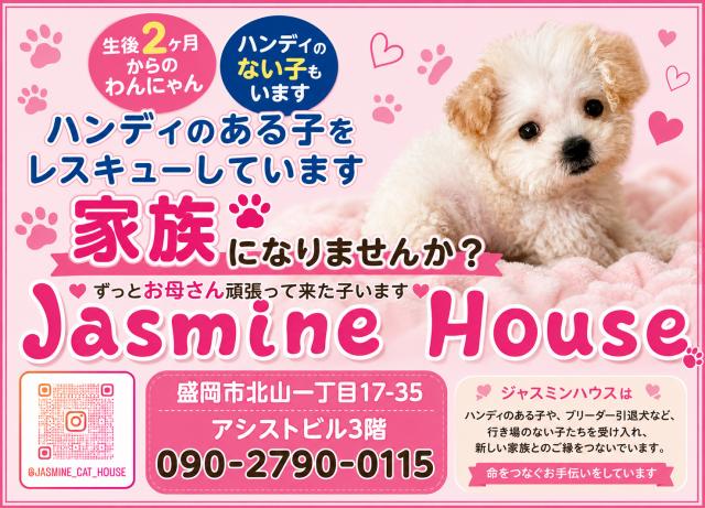 Jasmine houseの外観