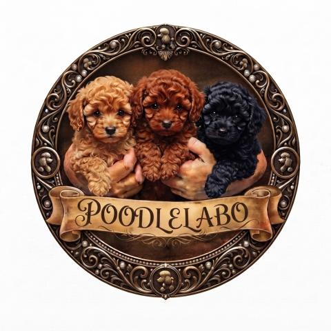 福岡プードルLABOの外観