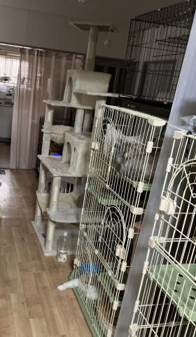 koujucatteryの外観