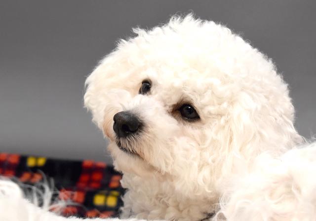 Pet House Happiness Utoの外観