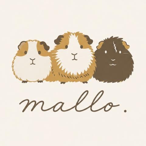 malloの外観