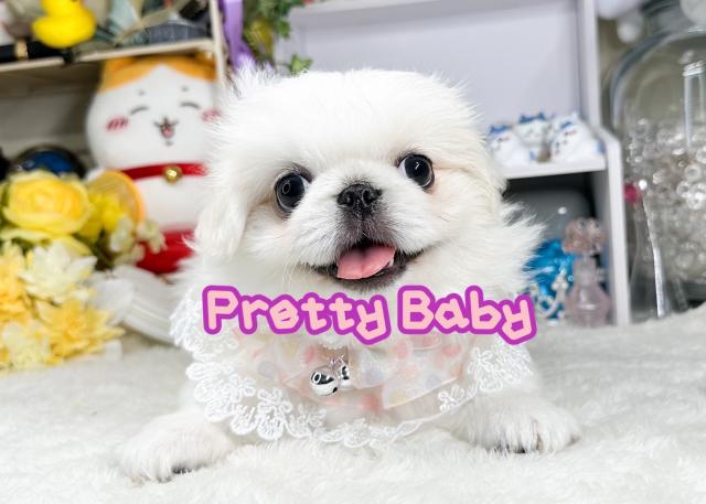 PrettyBabyの外観