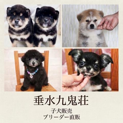 垂水九鬼荘の外観