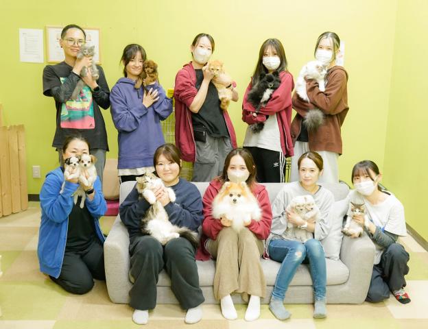パピーヴィレッジ コノハズク(朝比奈 杏奈ブリーダー)@神奈川県横浜市瀬谷区の外観