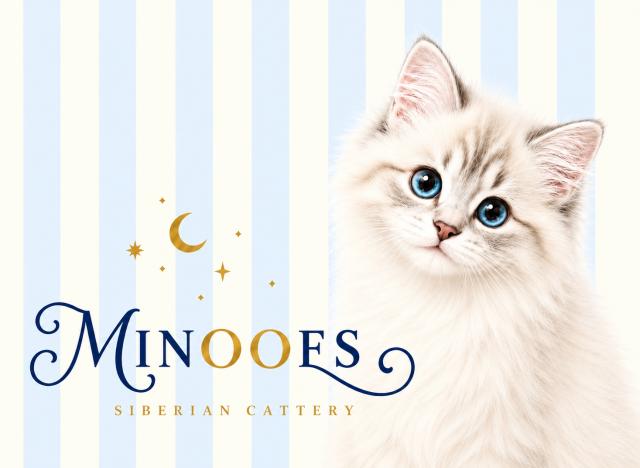 サイベリアン専門キャッテリーMINOOESの外観