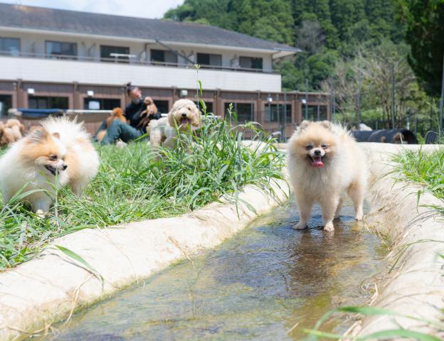 タンポポファーム（三枝 里有ブリーダー）＠千葉県市原市の外観