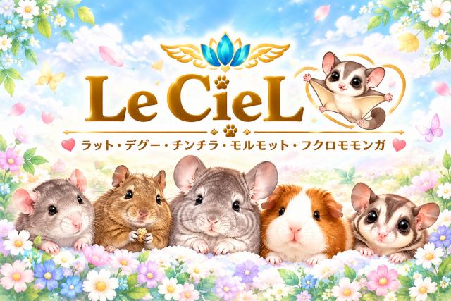 Le ciel (ルシェル)𓄛𓄜の外観
